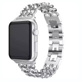 بند استیل کلاسیک و لوکس اپل واچ