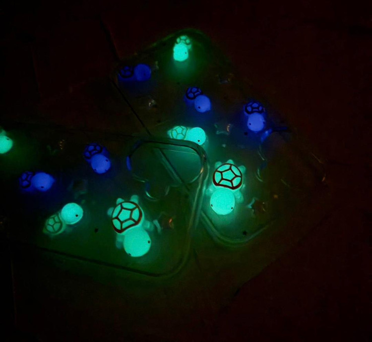 Glitter Turtle Case with Glow Effect | Hamrah Accessory