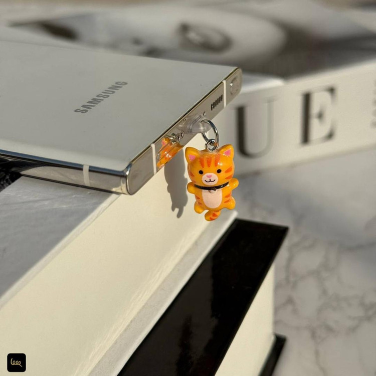 محافظ ضد خاک پورت تایپ سی و لایتنینگ Hamrah Accessory