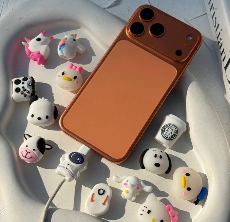 محافظ کابل تایپ سی فانتزی